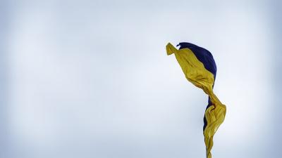 Ukraine Flag